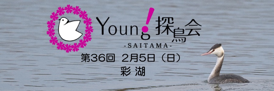 Young探鳥会 in 彩湖