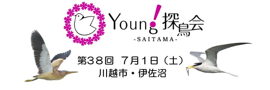 Young探鳥会 in 川越市・伊佐沼