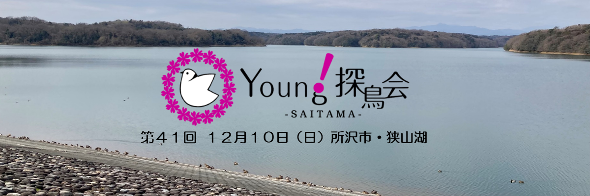 Young探鳥会 狭山湖