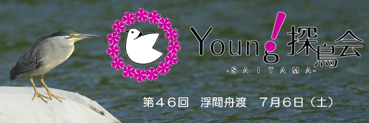 Young探鳥会 浮間舟渡公園