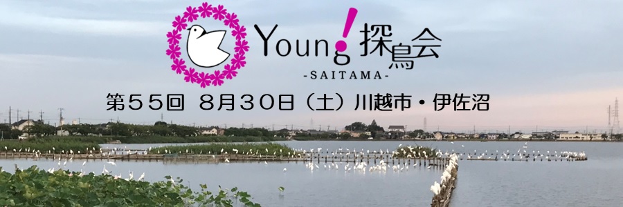 yantan-55"