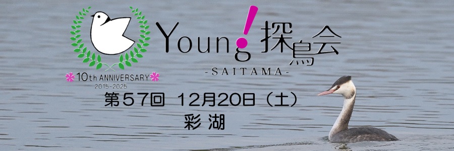 Young探鳥会・彩湖