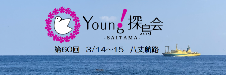 Young探鳥会・八丈航路